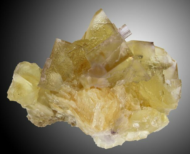 Yellow Cubic Fluorite - Cave-in-Rock, Illinois #32195